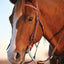 Classic Equine Shoulder Holder Bit Low Port - Barrel Racing Shoulder Control - 5" Mouth