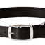 Weaver Leather Prism Classic Dog Collar - Hooves and Paws