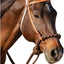 Professional's Choice Loping Hackamore - Hermann Oak Leather, Soft 4-Plait Noseband, 17 ft Reins - Average Horse Size
