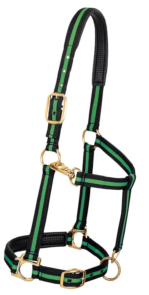 Weaver Equine Horse Halter: Comfort, Durability & Perfect Fit for Your Horse