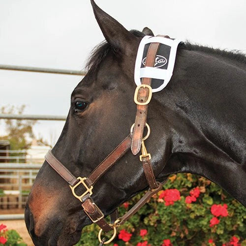 Professionals Choice Magnetic Poll Piece - Hooves and Paws