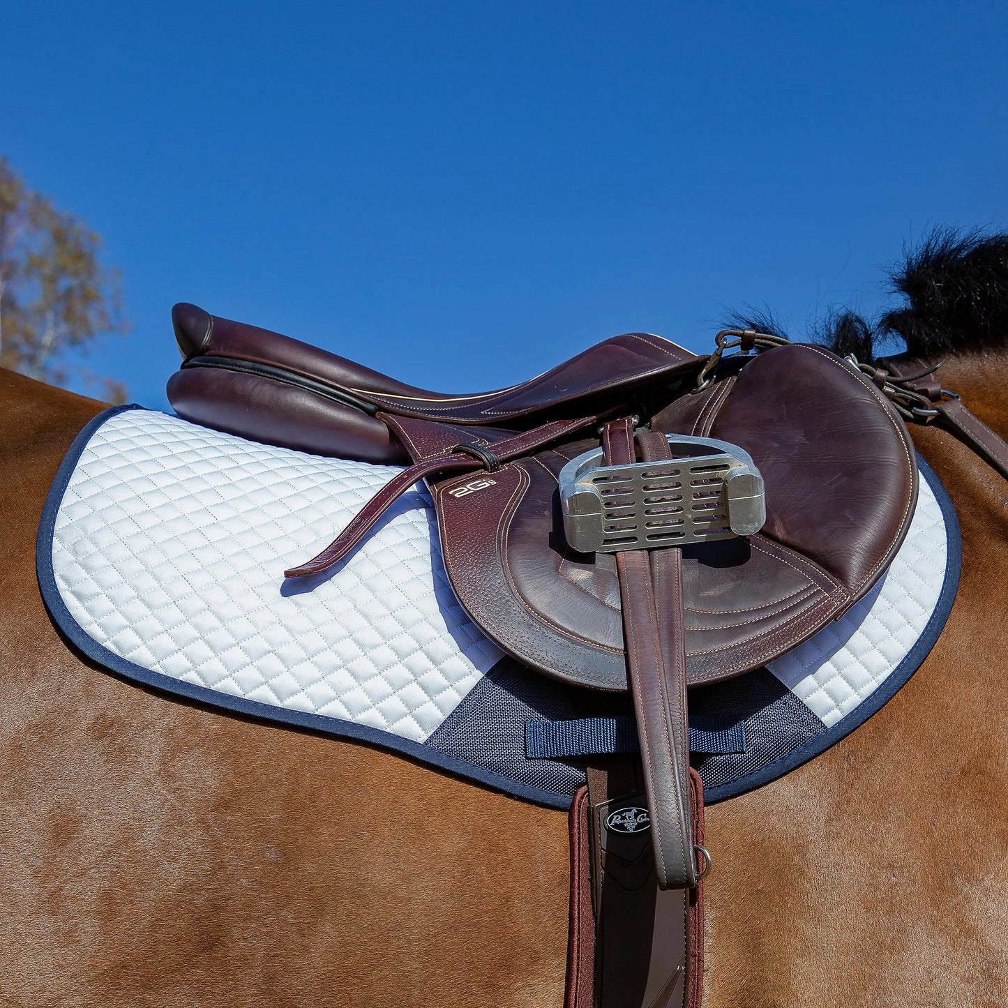 Professional's Choice Jump Pad with VenTECH Lining - Contoured Breathable Moisture-Wicking Saddle Pad