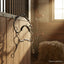 Myler MB 04 Combination Bit - Sweet Iron, 7.5 inch Shank, Comfort Snaffle - hanging on a wooden stable door with water droplets. A warm, sunlit stable interior with a hay bale is in the background.