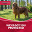 ZoGuard Plus Flea and Tick Prevention for Dogs - 3 Month Supply (Sell out)