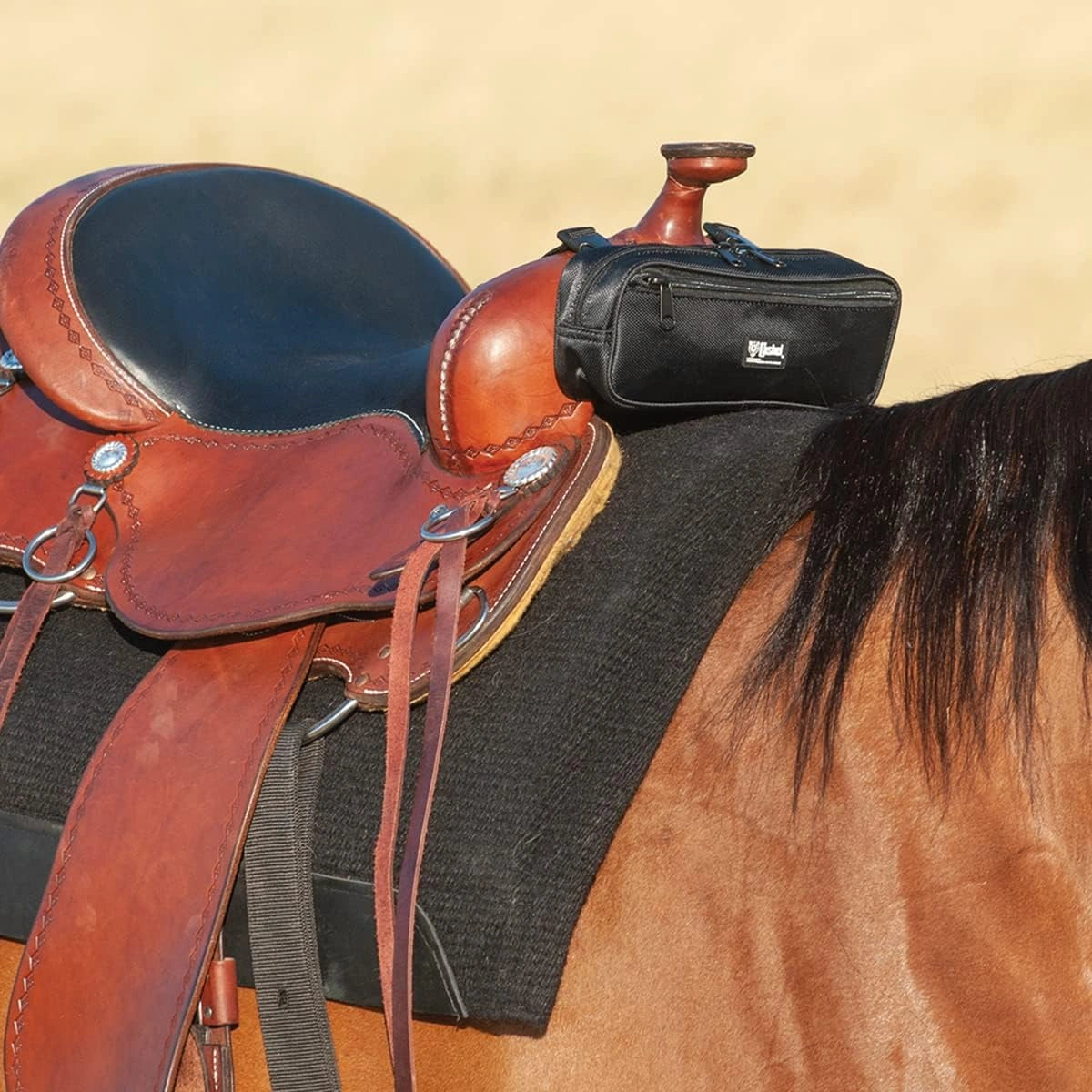 Cashel Small Pommel Bag Black - Hooves and Paws