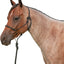 Martin Saddlery Marine-Grade Rope Halter & 9ft Lead Set