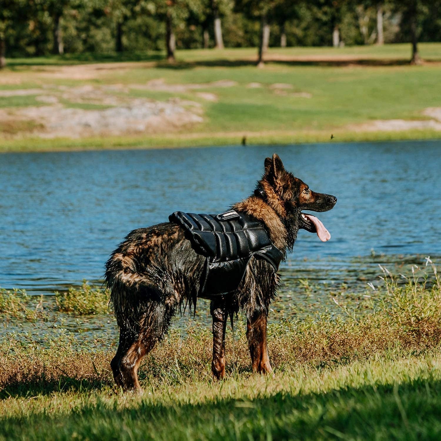 Weaver Leather Terrain Dog Swim Vest for Dogs - Hooves and Paws