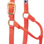 Weaver Equine Horse Halter: Comfort, Durability & Perfect Fit for Your Horse