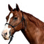 Classic Equine Rope Halter with 9ft Lead - Hardware-Free Nylon