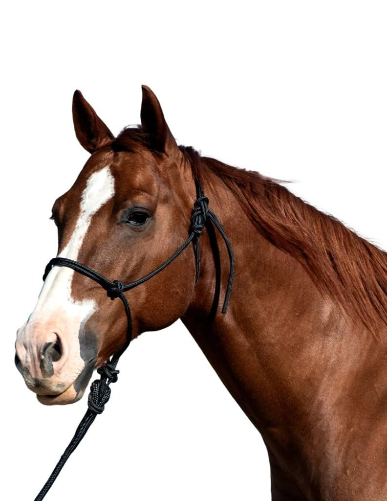 Classic Equine Rope Halter with 9ft Lead - Hardware-Free Nylon
