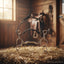 Myler MB 36 Combination Bit with sweet iron forward tilt ported barrel and 6 inch shank resting on hay in a sunlit stable.