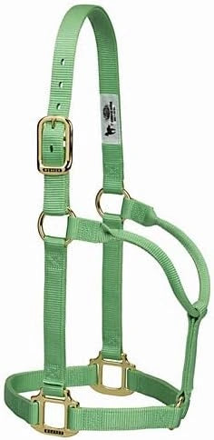 Weaver Equine Horse Halter: Comfort, Durability & Perfect Fit for Your Horse