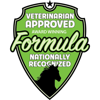 Draw It Out 16oz High Potency Horse Liniment Gel – Powerful, Natural Relief