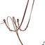 Weaver Leather Working Tack Roper/Barrel Style German Martingale, Golden Chestnut - Hooves and Paws