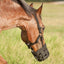 Horse wearing a black muzzle in a grassy field