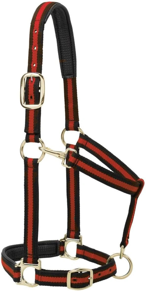 Weaver Leather Padded Nylon Halter – Triple-Adjust Comfort Fit