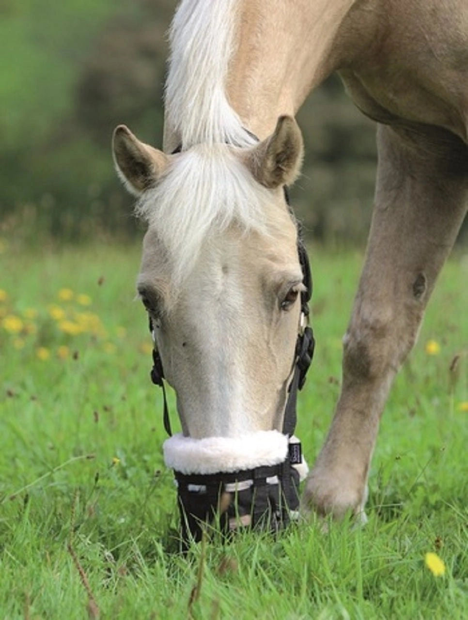 Shires Deluxe Horse Equine Fleece Lined Grazing Grass Feeding Muzzle - Hooves and Paws