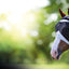 Shires Fine Mesh Horse Equine Fly Mask with Ear Holes 60% UV Protection