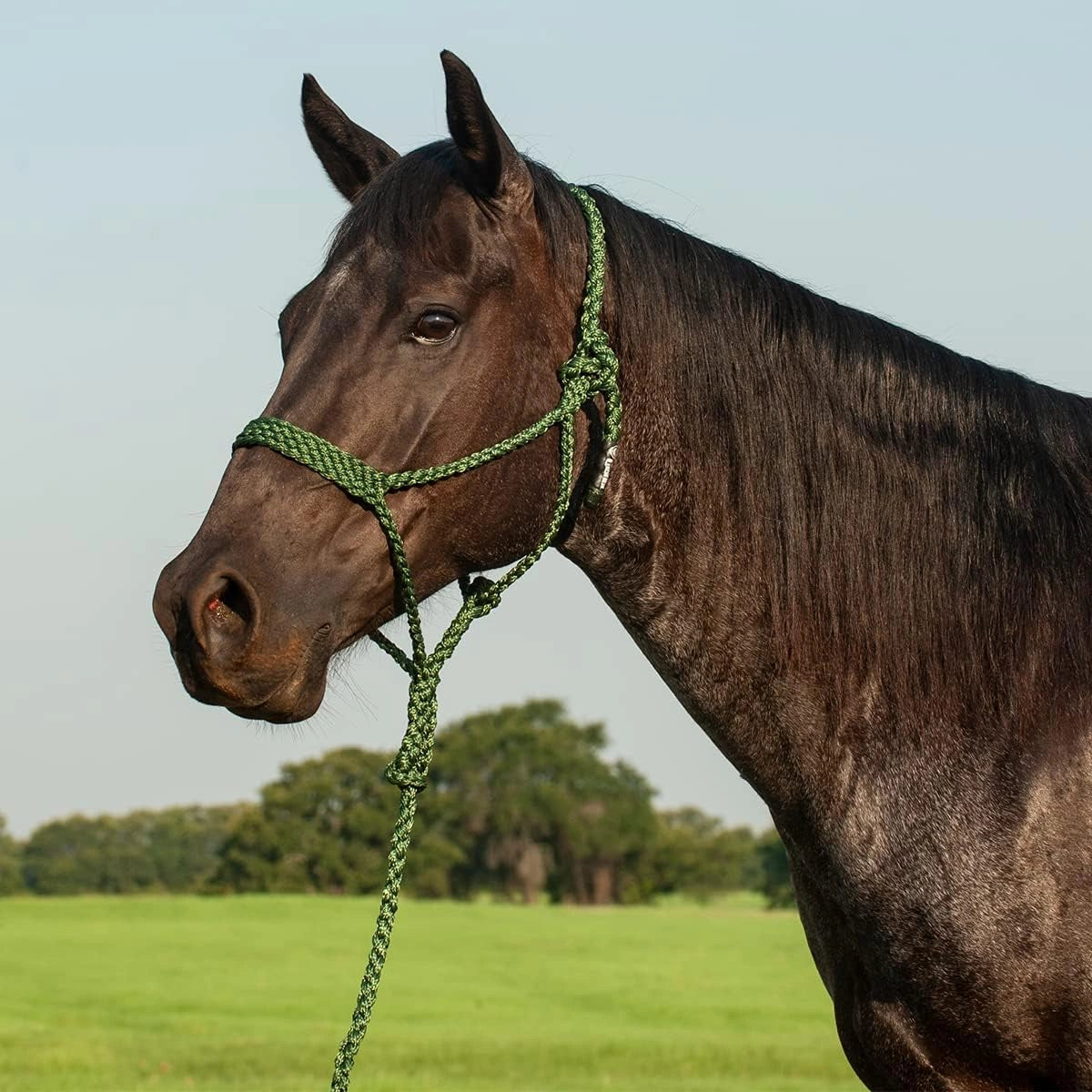 Cashel Flat Braid Halter and Lead rope HTR - BMTH - Hooves and Paws