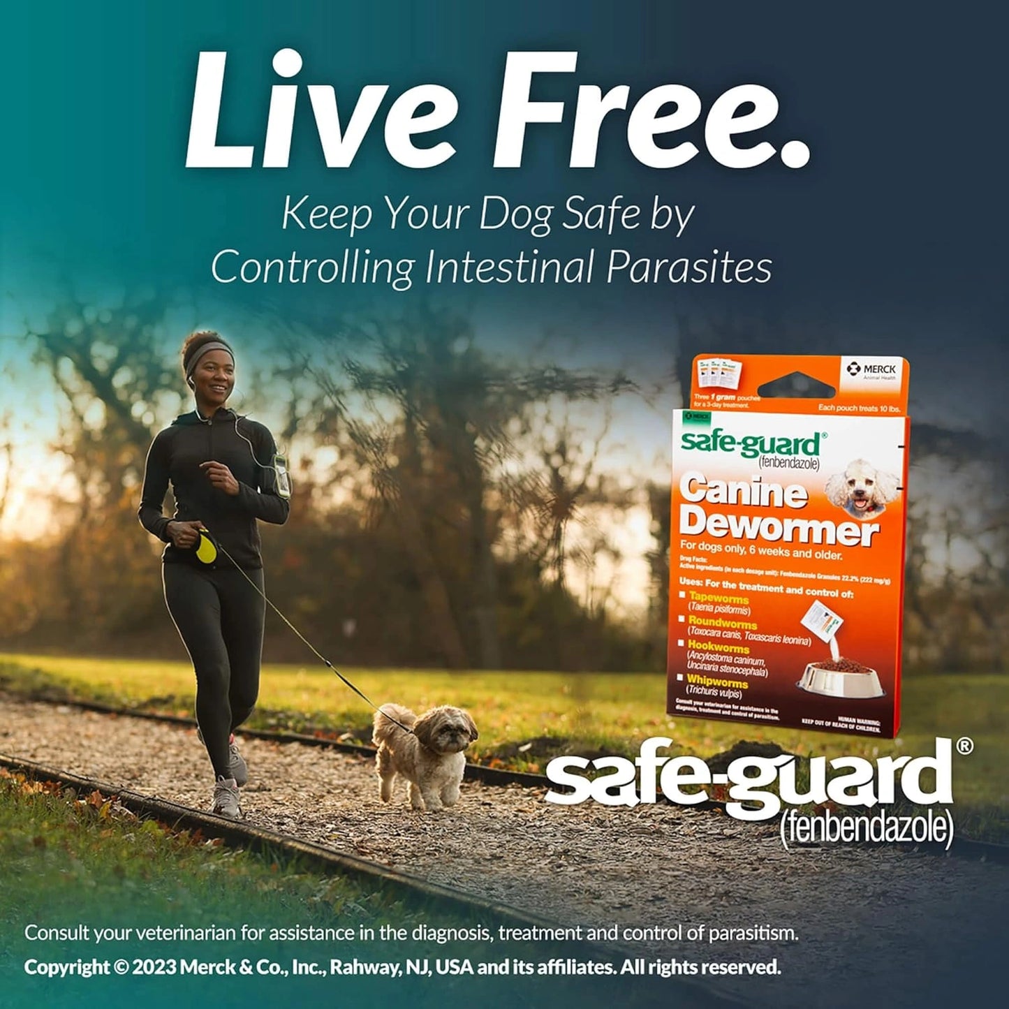 Pro-Sense Safe-Guard 4, Canine Dewormer for Dogs, 3-Day Treatment