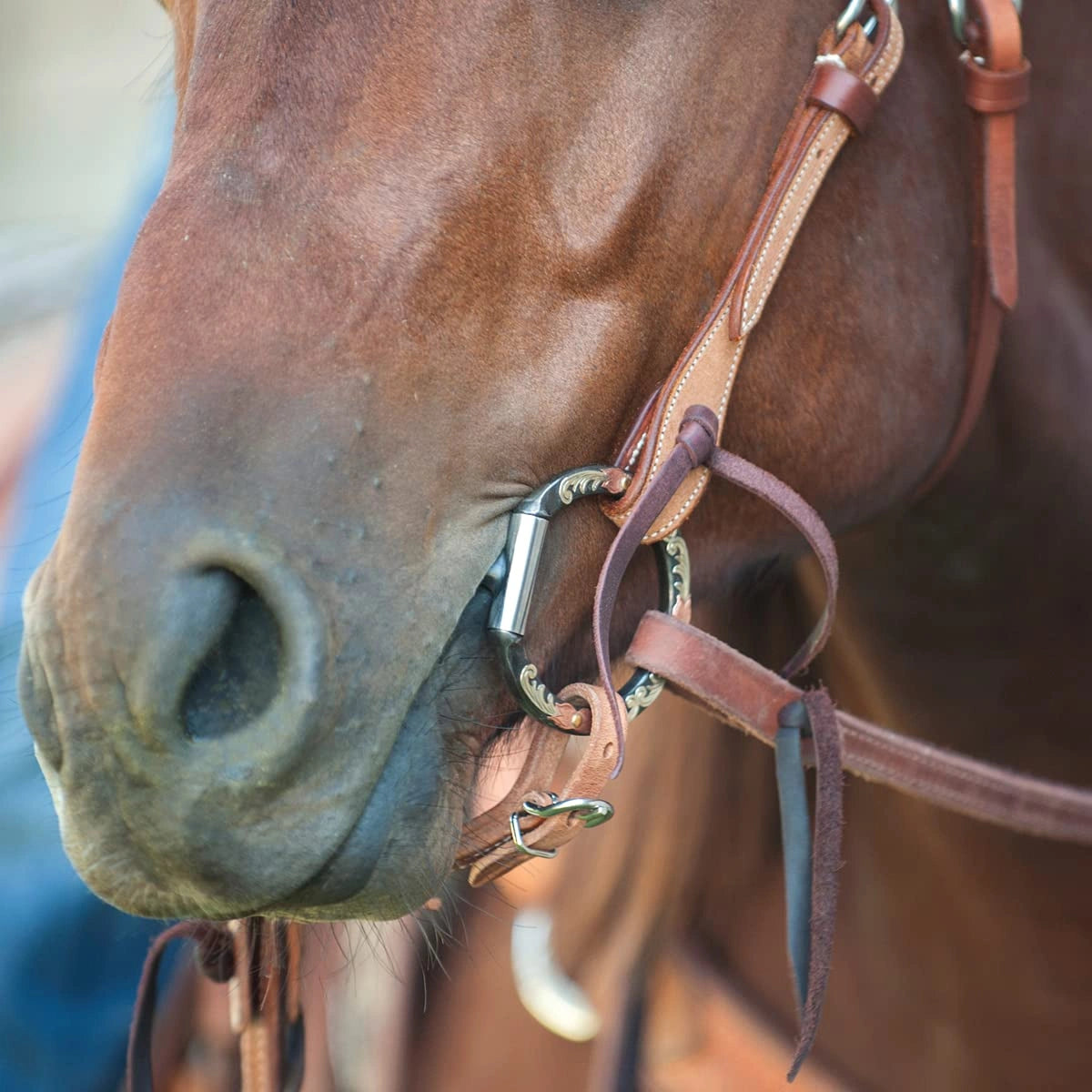 Classic Equine Professional Series Snaffle D-Ring Horse Bit - 5" Mouth, Inlaid Copper