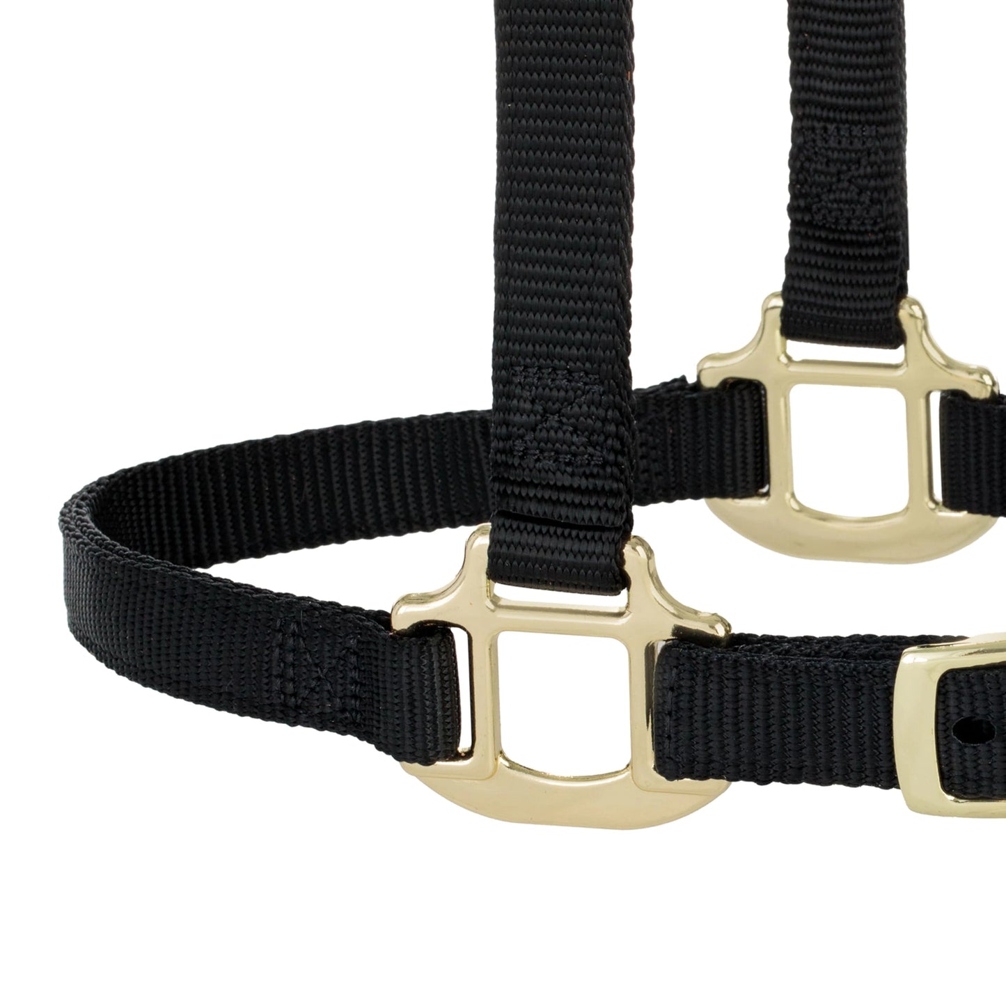 Weaver Leather Breakaway Nylon Halter – Replaceable Crown