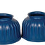 Two blue plastic cups with ribbed texture for horses' hooves