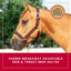 Weaver Leather Breakaway Halter - Padded Crown Safety Release