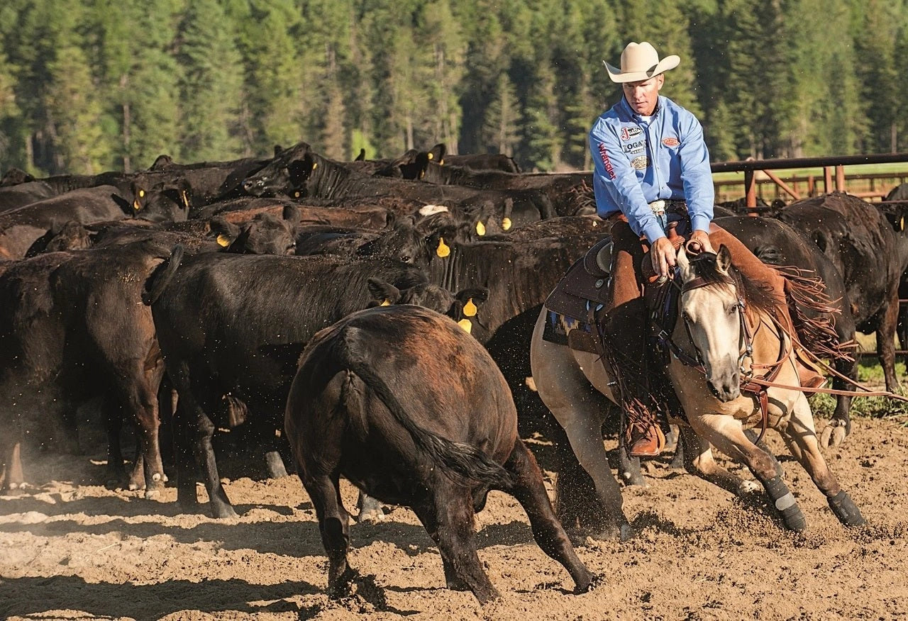 Weaver Leather Horse Equine Ballistic 2520D Nylon No - Turn Overreach Bell Boots - Hooves and Paws