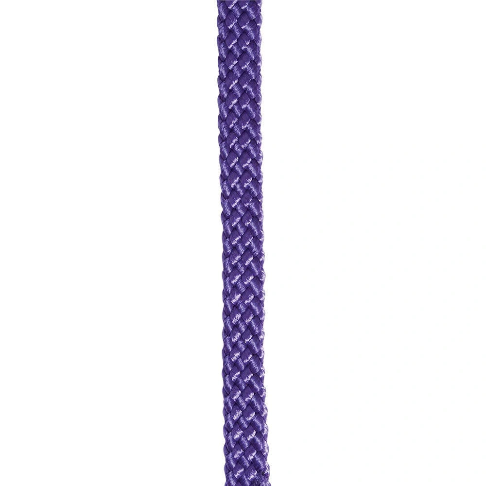 Professional's Choice Sports Medicine Products Braided Roping Reins Horse Training Equipment 5/8" x 8' - Hooves and Paws