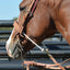 Classic Equine Joe Beaver High Port Bit - 8 inch Shank Horse Bit for Precision Control and Tongue Relief