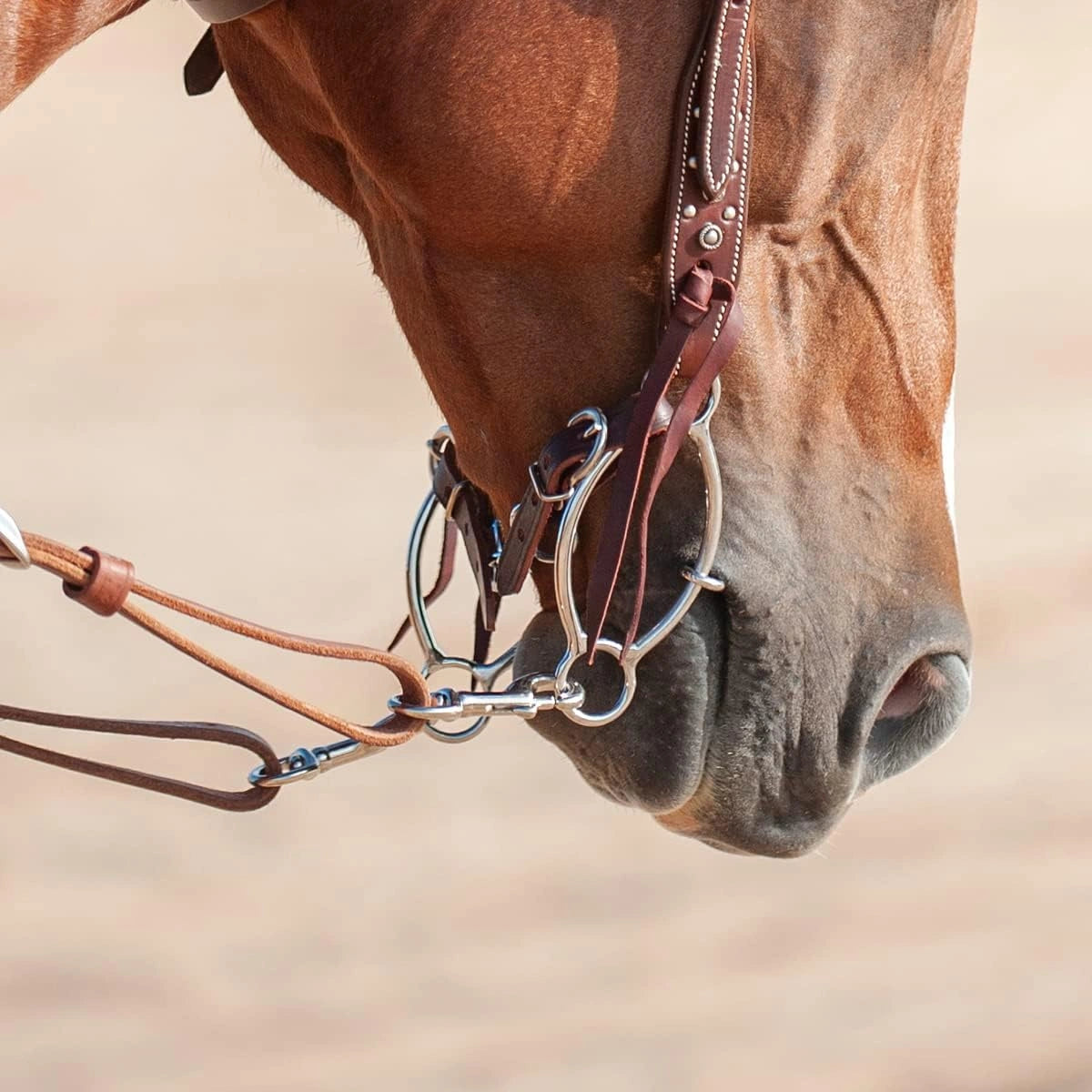 Classic Equine Simplicity II Twisted Wire Snaffle Bit - Carol Goostree Collection Short Shank Gag Action