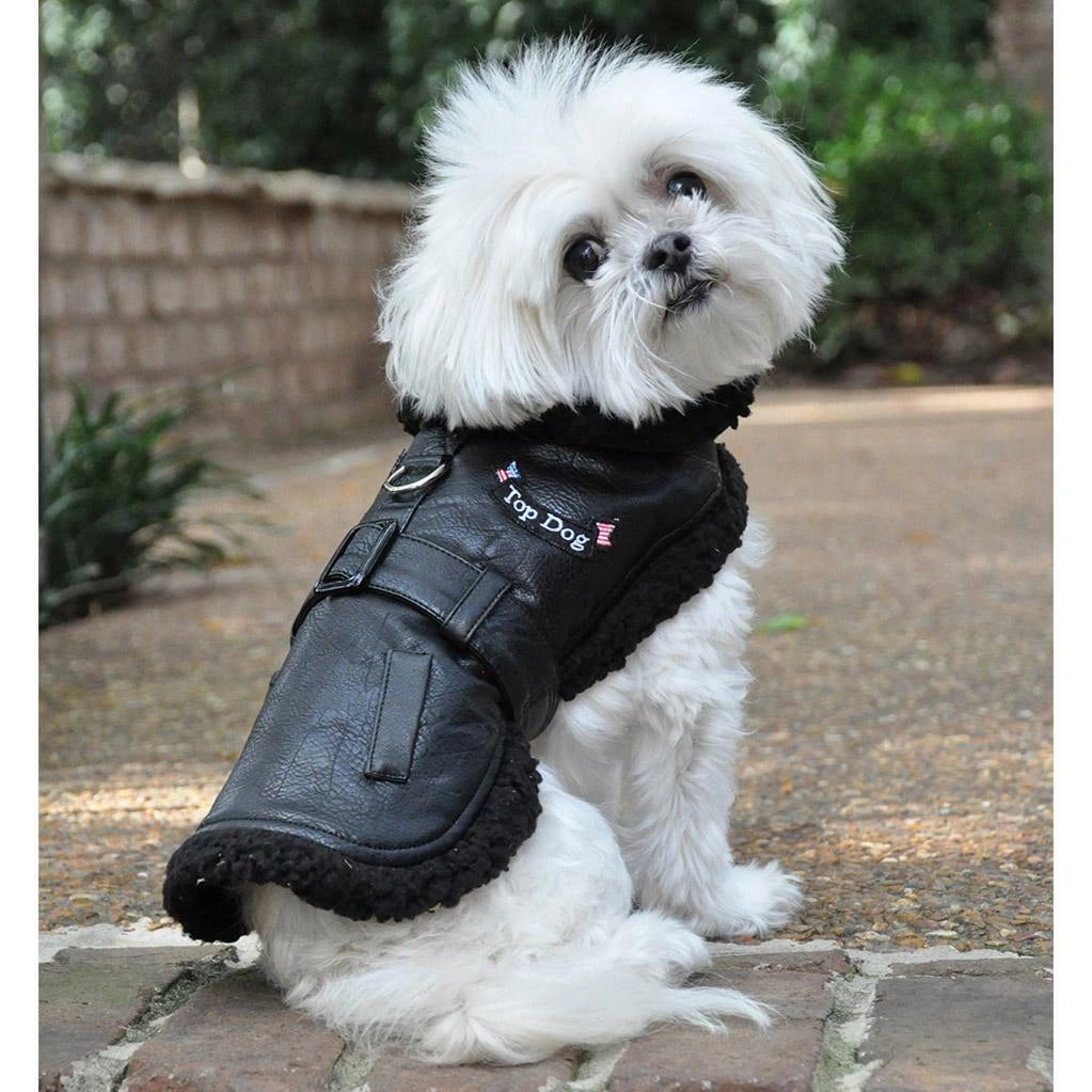 Doggie Design Black Top Dog Flight Outdoor Jacket Coat With Matching Leash - Hooves and Paws
