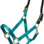ARMA Shires Nylon Halter with Breakaway Leather Head Strap 90027 - Hooves and Paws