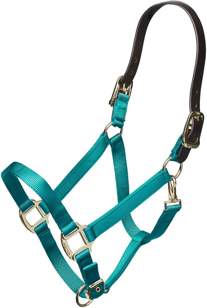 ARMA Shires Nylon Halter with Breakaway Leather Head Strap 90027 - Hooves and Paws