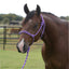 Professional's Choice Equisential Rope Halter with 8' Matching Lead - Durable Nylon Horse Halter