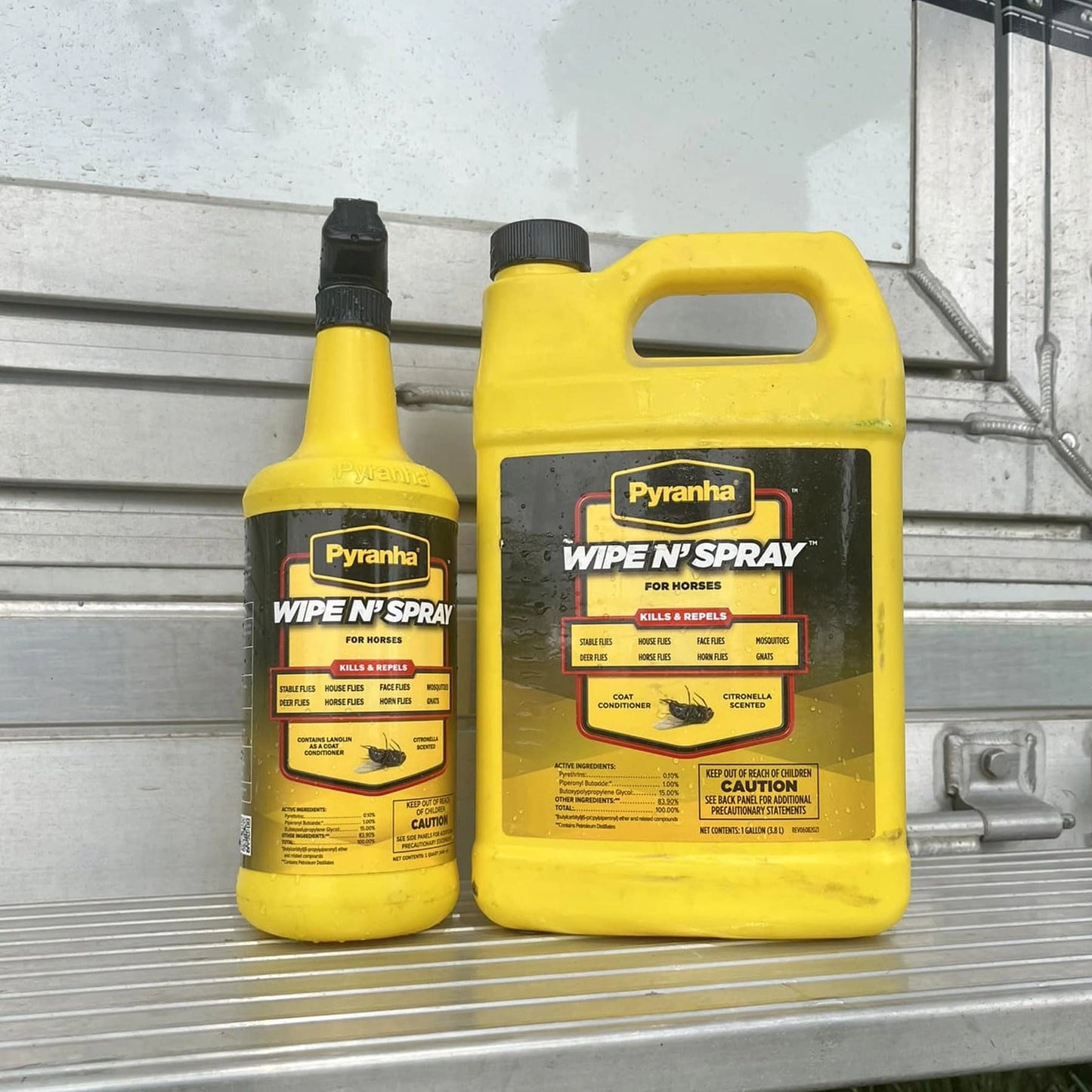 Pyranha Wipe N' Spray – Oil-Based Sweat-Resistant Fly Control