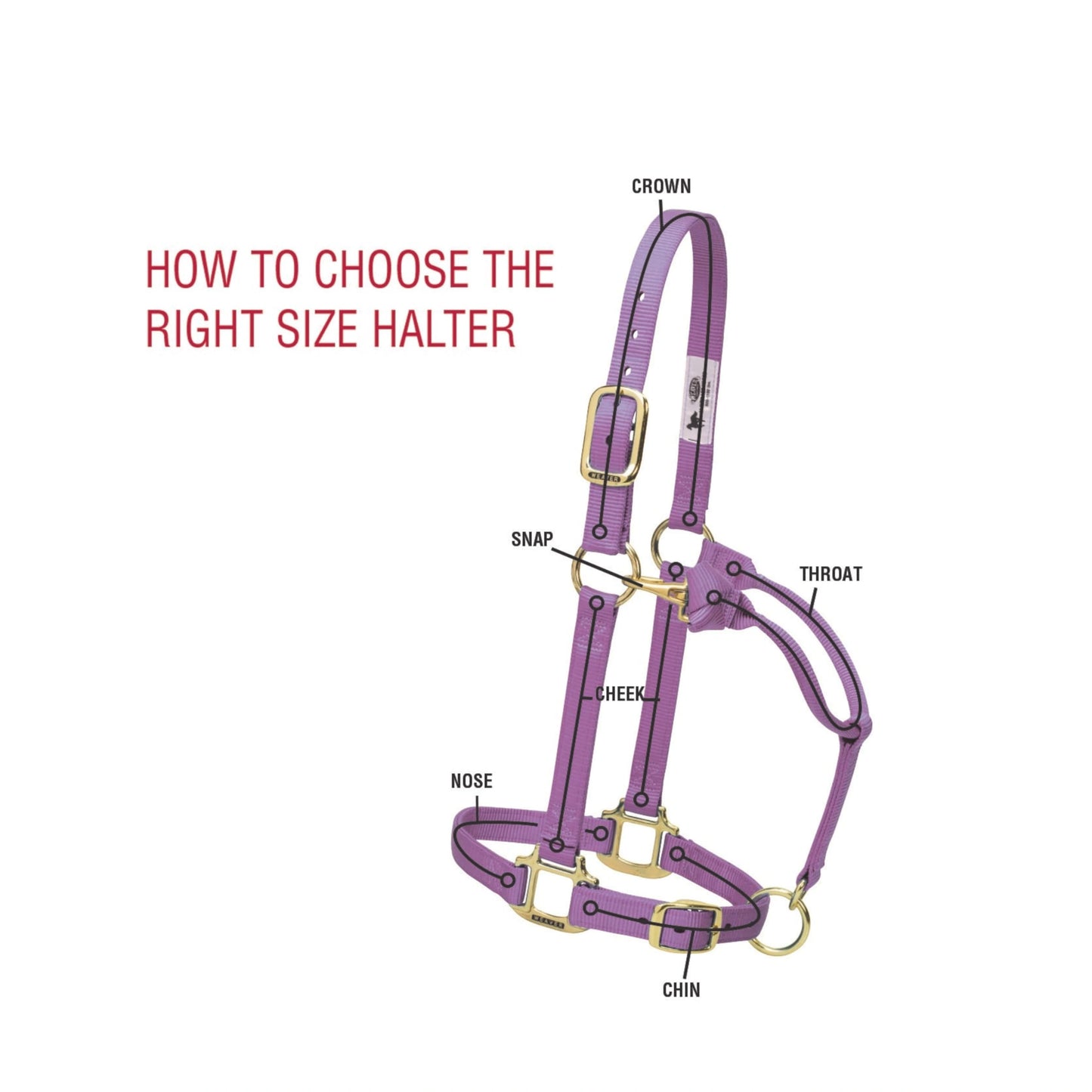 Weaver Leather Breakaway Nylon Halter – Replaceable Crown