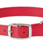 Weaver Leather Prism Classic Dog Collar - Hooves and Paws