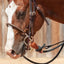 Classic Equine D-Ring Bit with Smooth Bar - Gentle & Durable