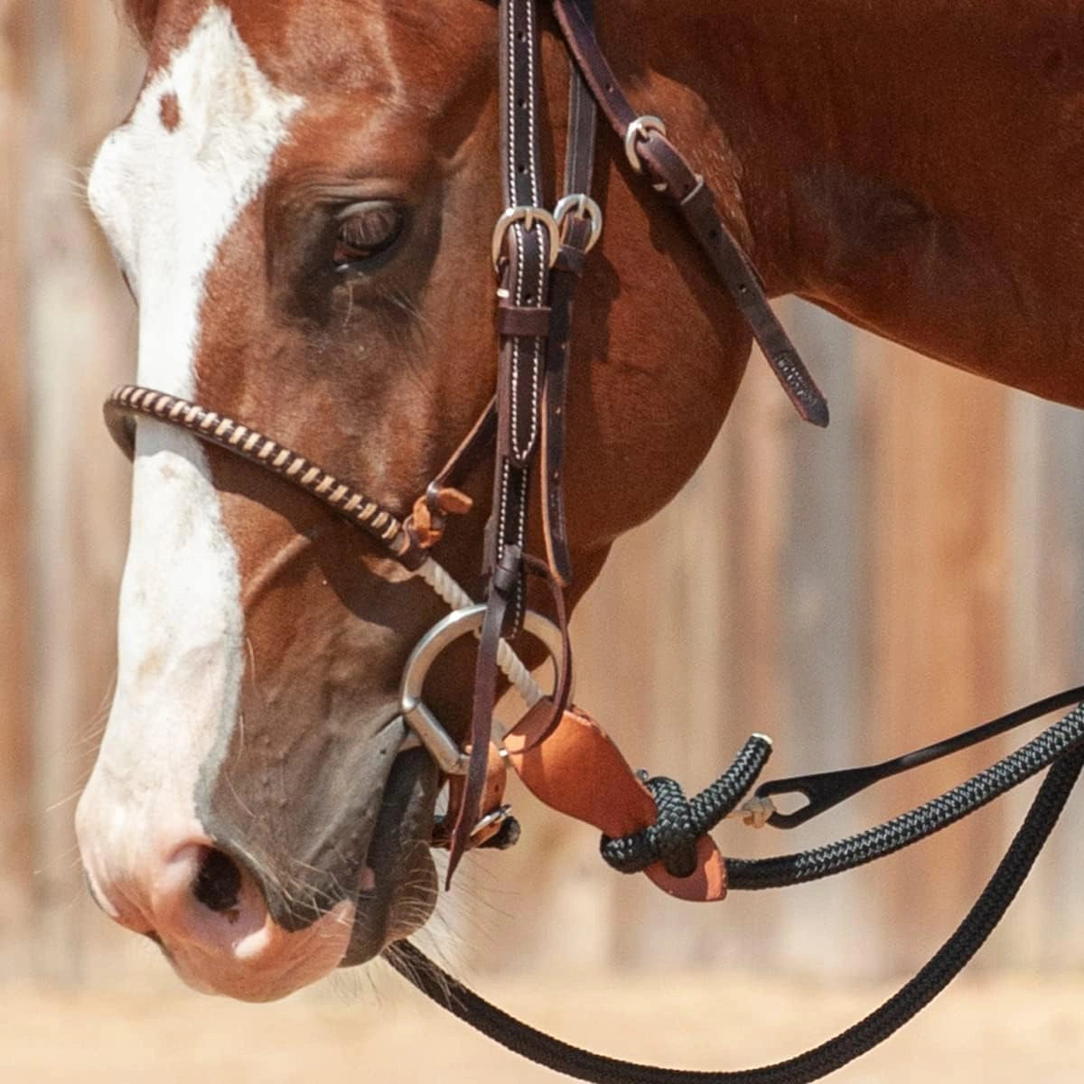 Classic Equine D-Ring Bit with Smooth Bar - Gentle & Durable