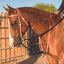 Al Dunning Pro Choice Draw Rope Martingale - Horse Training Aid, featured in professional studio lighting