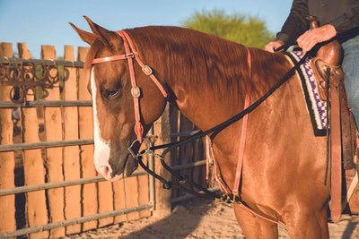 Al Dunning Pro Choice Draw Rope Martingale - Horse Training Aid, featured in professional studio lighting