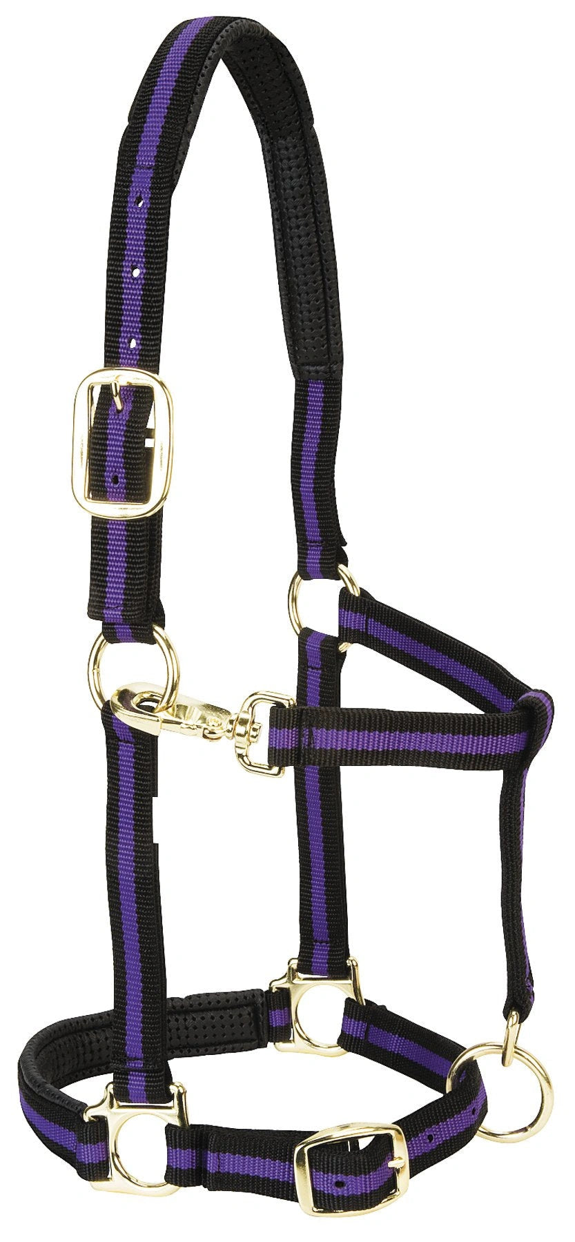 Weaver Equine Horse Halter: Comfort, Durability & Perfect Fit for Your Horse