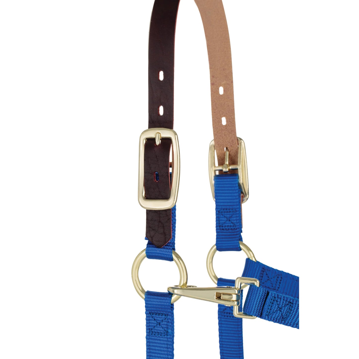 Weaver Leather Breakaway Nylon Halter – Replaceable Crown