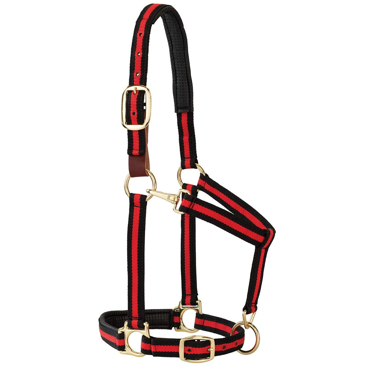 Weaver Leather Breakaway Halter - Padded Crown Safety Release