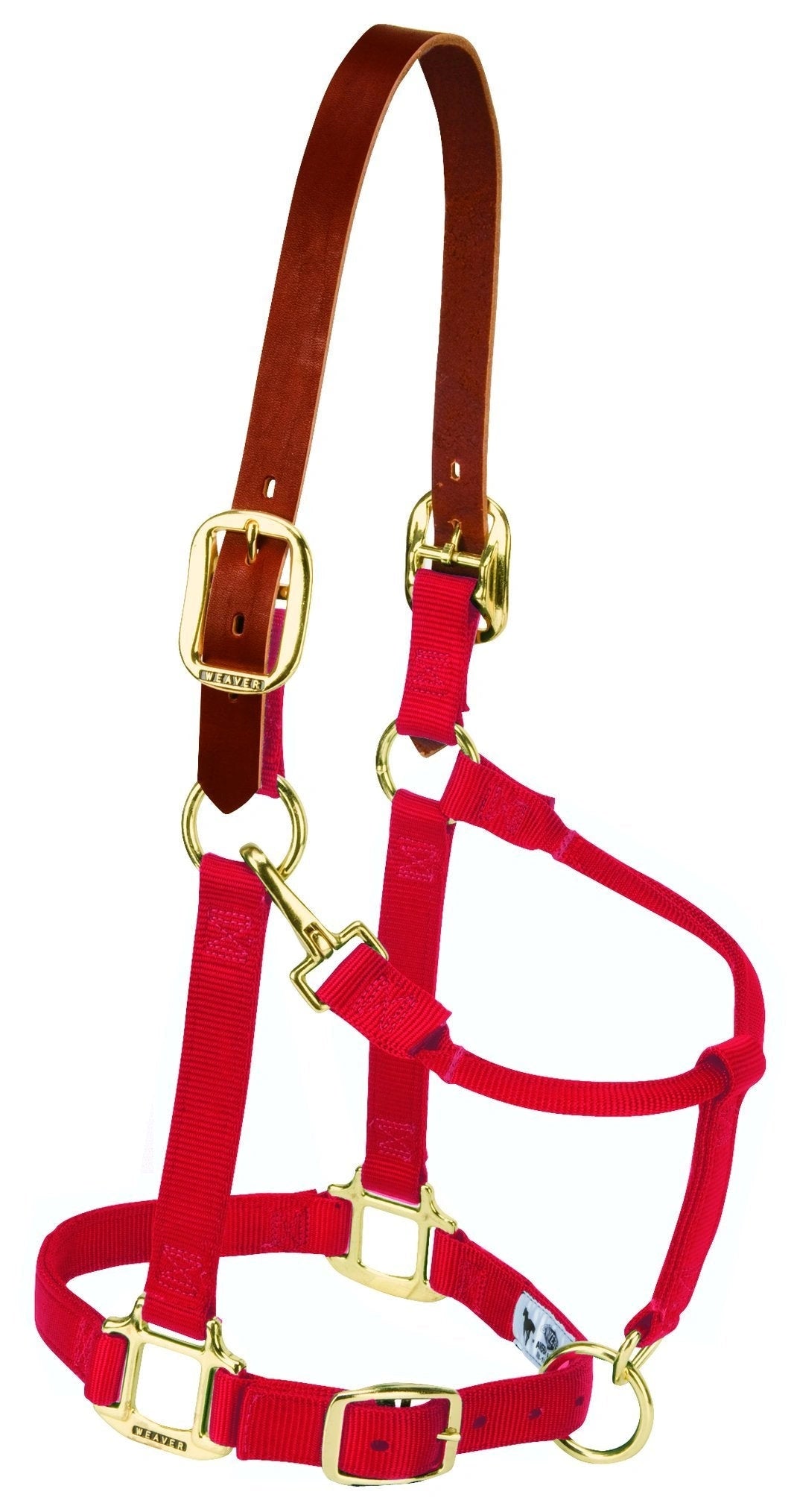 Weaver Leather Breakaway Nylon Halter – Replaceable Crown