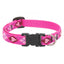 LupinePet Dog Collar: Lifetime Guarantee, Adjustable, & Stylish Designs