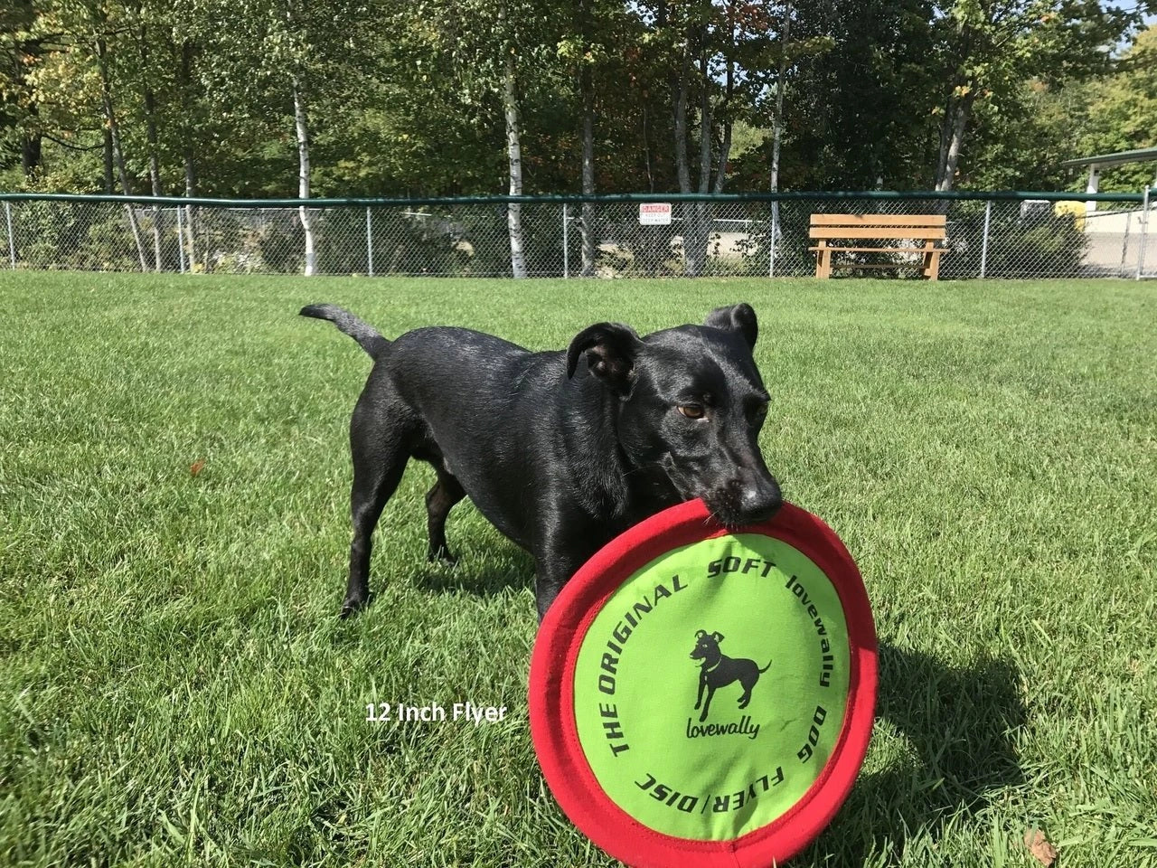 LoveWally The Original Soft Bite Floppy Disc Flyer Outdoor Adventure Gear Dog Toy - Hooves and Paws