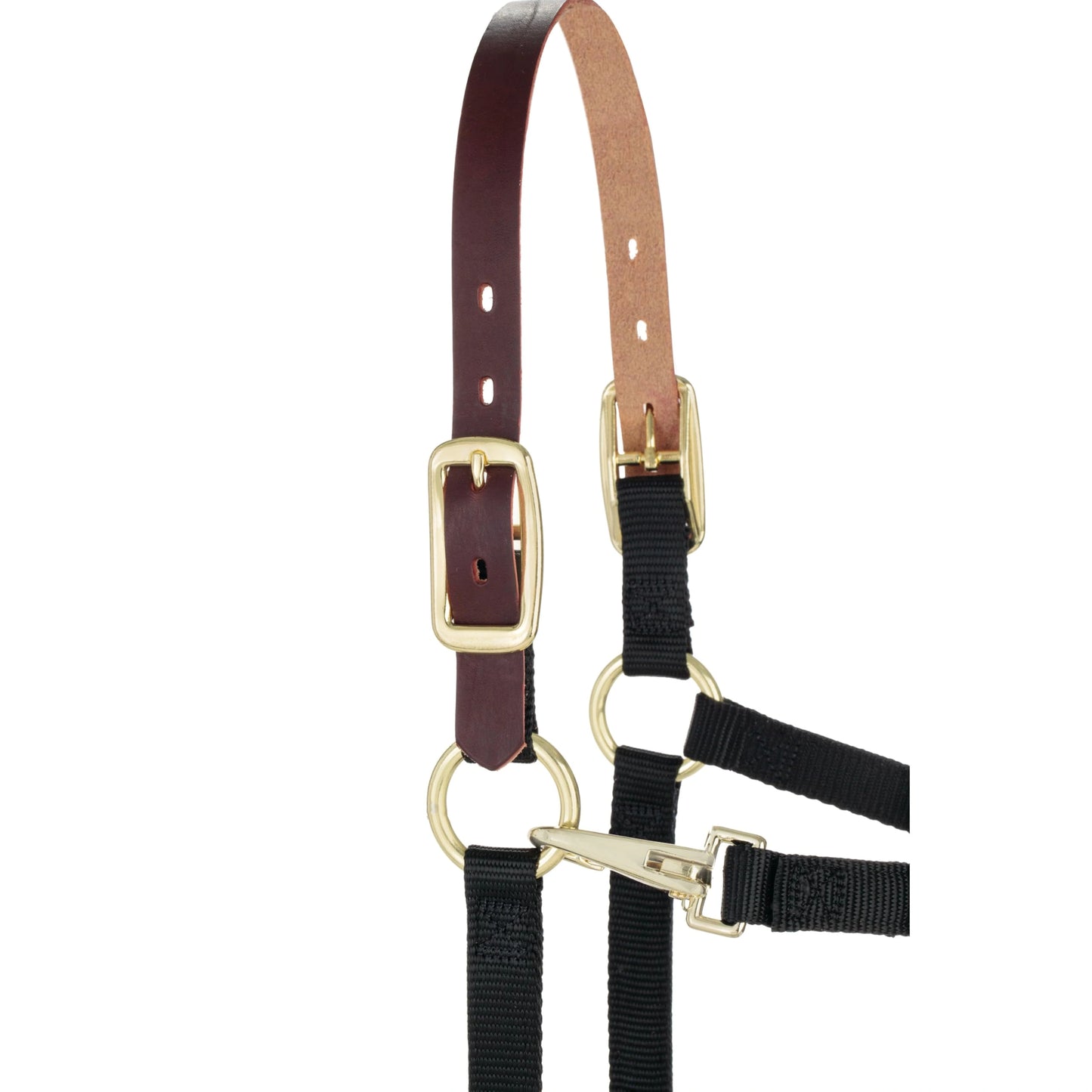 Weaver Leather Breakaway Nylon Halter – Replaceable Crown